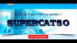 supercat50 -  реально без вложений!! как заработать, миллион, работа, деньги, ru! новый год!