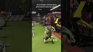 Программа тренировок для набора массы .день 2 #спорт #motivation