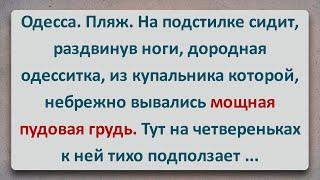 ✡️  Уголовник! Еврейские Анекдоты! Анекдоты Про Евреев! Выпуск #283