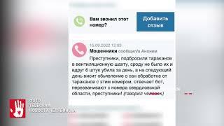 Новый бизнес – подбросить тараканов, чтобы потом их потравить?