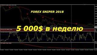 Заработок в Интернете от 5000$ в неделю с помощью торгового робота FOREX SNIPER 2018