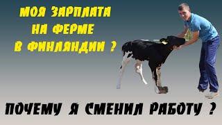 КАКИЕ ЗАРПЛАТЫ НА ФЕРМАХ В ФИНЛЯНДИИ? МОЙ ОПЫТ. ПОЧЕМУ СМЕНИЛ РАБОТУ?