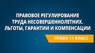 Правовое регулирование труда несовершеннолетних. Льготы, гарантии и компенсации