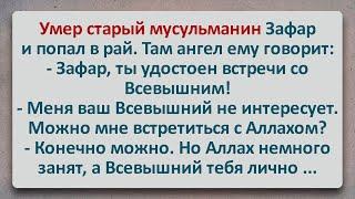 ✡️ Умер Старый Мусульманин Зафар! Еврейские Анекдоты! Анекдоты Про Евреев! Выпуск #259