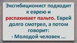 ✡️ Эксгибиционист и Еврей! Еврейские Анекдоты! Анекдоты про Евреев! Выпуск #288