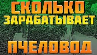 Сколько зарабатывают пчеловоды  из пасеки и пчел за сезон, Деньги с пасеки. Бизнес план пасеки