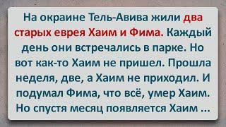 ✡️ На Окраине Тель-Авива Жили Хаим и Фима! Еврейские Анекдоты! Анекдоты про Евреев! Выпуск #172