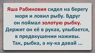 ✡️ Яша Рабинович и Золотая Рыбка! Анекдоты про Евреев! Выпуск #98