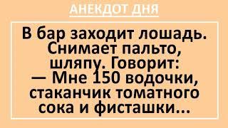 Говорящая Лошадь в Баре Просит Выпить. Анекдот Дня! Длинные прикольные анекдоты! Юмор! Смех!