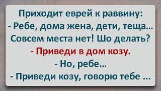 ✡️ Еврейский Совет! Еврейские Анекдоты! Анекдоты про Евреев! Выпуск #364