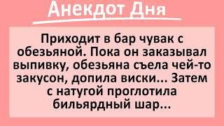 Всеядная Обезьяна в Баре. Анекдот Дня! Жизненные смешные анекдоты! Юмор!