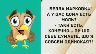 Хорошо быть мужиком... Прикольные анекдоты дня! Одесский юмор