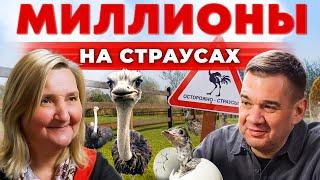 Заработок на страусиной ферме в России | Бизнес с нуля | Сколько приносит страус? Андрей Даниленко