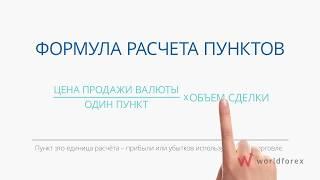 World Forex - Как рассчитать убытки и прибыль - часть 5