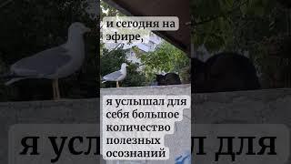 и это причина забить на все #2024 #бизнес #альфабанк