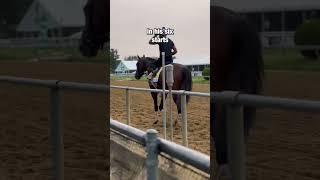 Preakness Contender Profile | Blazing Sevens