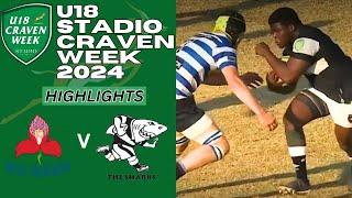 Try-Fest! Western Province vs Sharks - A Craven Week 2024 Classic