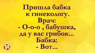 Пришла Бабушка к Гинекологу! Анекдоты Онлайн! Короткие Приколы! Смех! Юмор! Позитив!