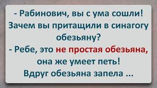 ✡️ Рабинович Притащил в Синагогу Обезьяну! Еврейские Анекдоты! Анекдоты про Евреев! Выпуск #290