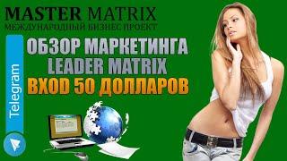 Бизнес проект Master Matrix.Маркетинг Leader Matrix.Вход 50 долларов.