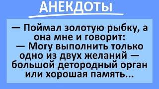 Большой мужской орган или хорошая память? Сборник анекдотов смешных до слез! Юмор!