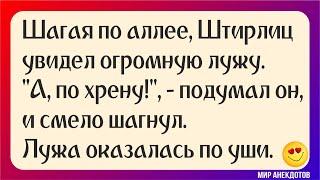 Анекдоты про Штирлица и Мюллера - короткие и смешные