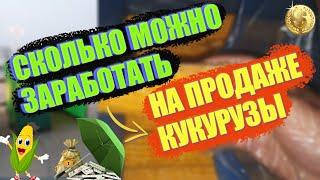 СКОЛЬКО МОЖНО ЗАРАБОТАТЬ НА ПРОДАЖЕ ГОРЯЧЕЙ КУКУРУЗЫ? Сезонный бизнес