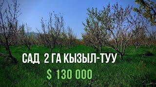 ПРОДАЕТСЯ ГОТОВЫЙ БИЗНЕС  САД 2 ГА