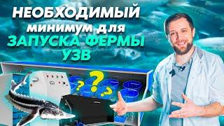 Какой МИНИМАЛЬНЫЙ НАБОР потребуется для ЗАПУСКА РЫБОВОДНОЙ ФЕРМЫ УЗВ? | Бизнес ИДЕИ