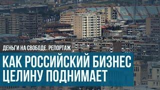 Как российский бизнес целину поднимает