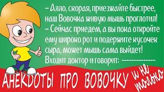 Смешные анекдоты про Вовочку, анекдоты про русских, анекдот про американца, немца и русского