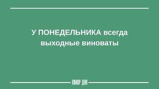 утро ПОНЕДЕЛЬНИКА | Смешные высказывания - ЮМОР ДНЯ