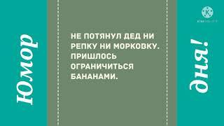 Подборка анекдотов. Смешные анекдоты. Свежие. Новые. Юмор дня!