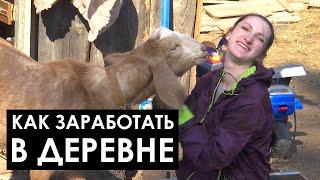 Уехали из города и открыли бизнес на хуторе! Как зарабатывают в деревне? // Фермерское пространство