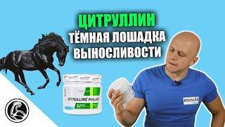 Как цитруллин поднимет выносливость? Обзор Progress Nutrition Citrulline Malate