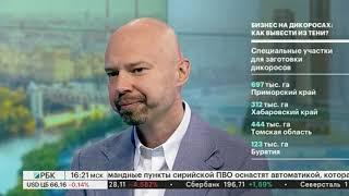 Телеканал РБК: Бизнес на дикоросах: как вывести из тени?