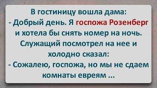 ✡️ Госпожа Розенберг! Еврейские Анекдоты! Анекдоты про Евреев! Выпуск #165