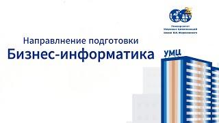 Бизнес-информатика