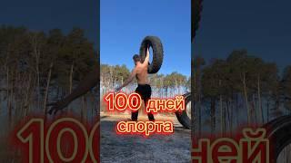 Что будет если заниматься спортом 100 дней ? отжимания ,бег создай лучшую версию себя #дисциплина