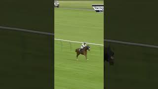 Horse somehow gets beat!