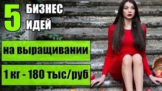 Топ-5 Простых Бизнес Идей на земельном участке! Бизнес на выращивании! Бизнес идеи 2020!