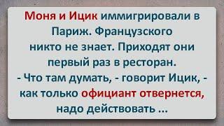 ✡️ Еврейские Иммигранты в Париже! Еврейские Анекдоты! Анекдоты про Евреев! Выпуск #161