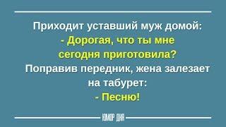 МУЖ и ЖЕНА забавные приколы | Смешные высказывания на каждый день - ЮМОР ДНЯ