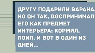 Подарок другу. Анекдот дня! Юмор! Смех! Позитив!