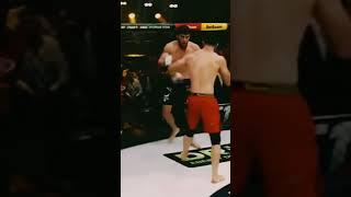 новый Чемпион ?! #shorts #ufc #mma #спорт