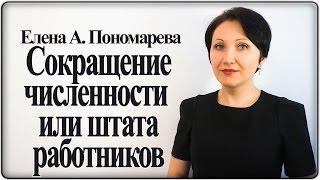 Основная процедура проведения сокращения численности или штата работников – Елена А. Пономарева