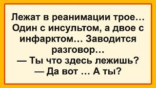 Самые смешные анекдоты! Отличная Подборка Веселых Анекдотов Зима! Позитив! Юмор! Смех!