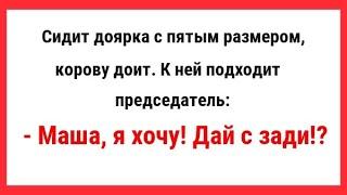 Сидит доярка с пятым размером, корову доит. Сборник Свежих и Смешных Анекдотов! Юмор! Смех!