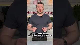 Закончится ли рыба на Земле? Деликатеска.ру