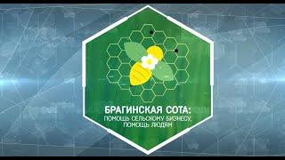 Инициатива "Брагинская сота: помощь сельскому бизнесу, помощь людям"